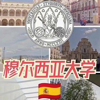 穆尔西亚大学ENAE商学院国际硕士项目（海牙认证）