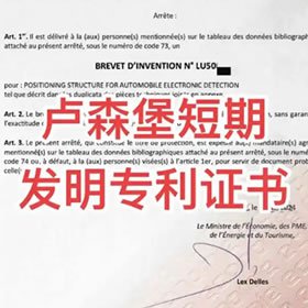 卢森堡短期发明专利（自写稿件、含优先权）送5000字免费翻译