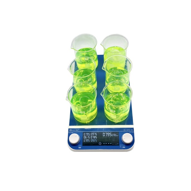 其林贝尔多联磁力搅拌器GL-6250-6B